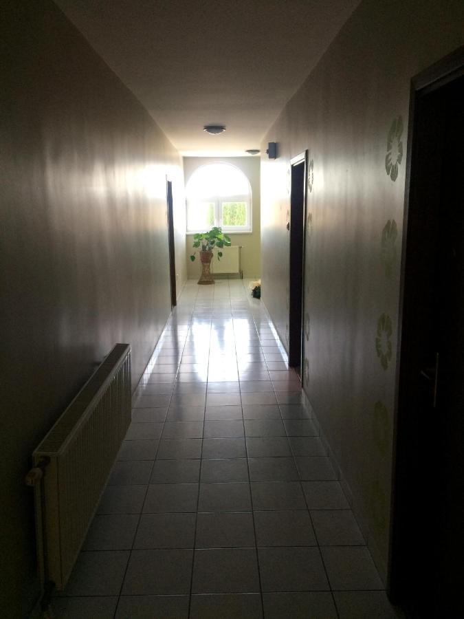 Venusz Panzio Es Vendeglo Bed & Breakfast Bagod Екстериор снимка
